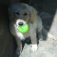 Jugando con su pelota 